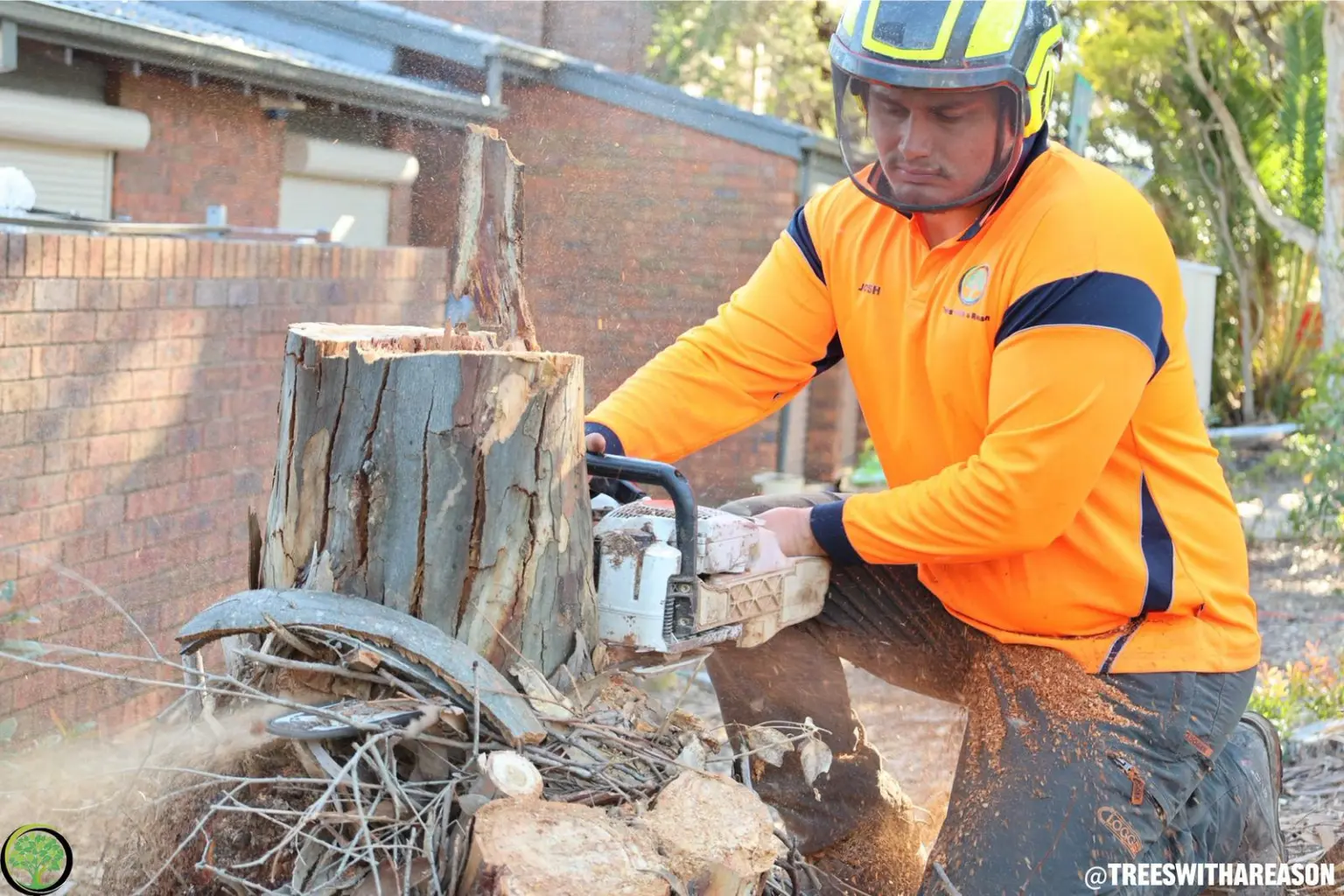 Professional stump grinding in a Sydney’s South backyard, neat mulch pile and correct PPE.