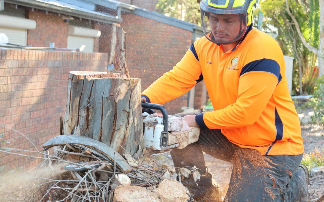 Get Rid of That Stubborn Stump